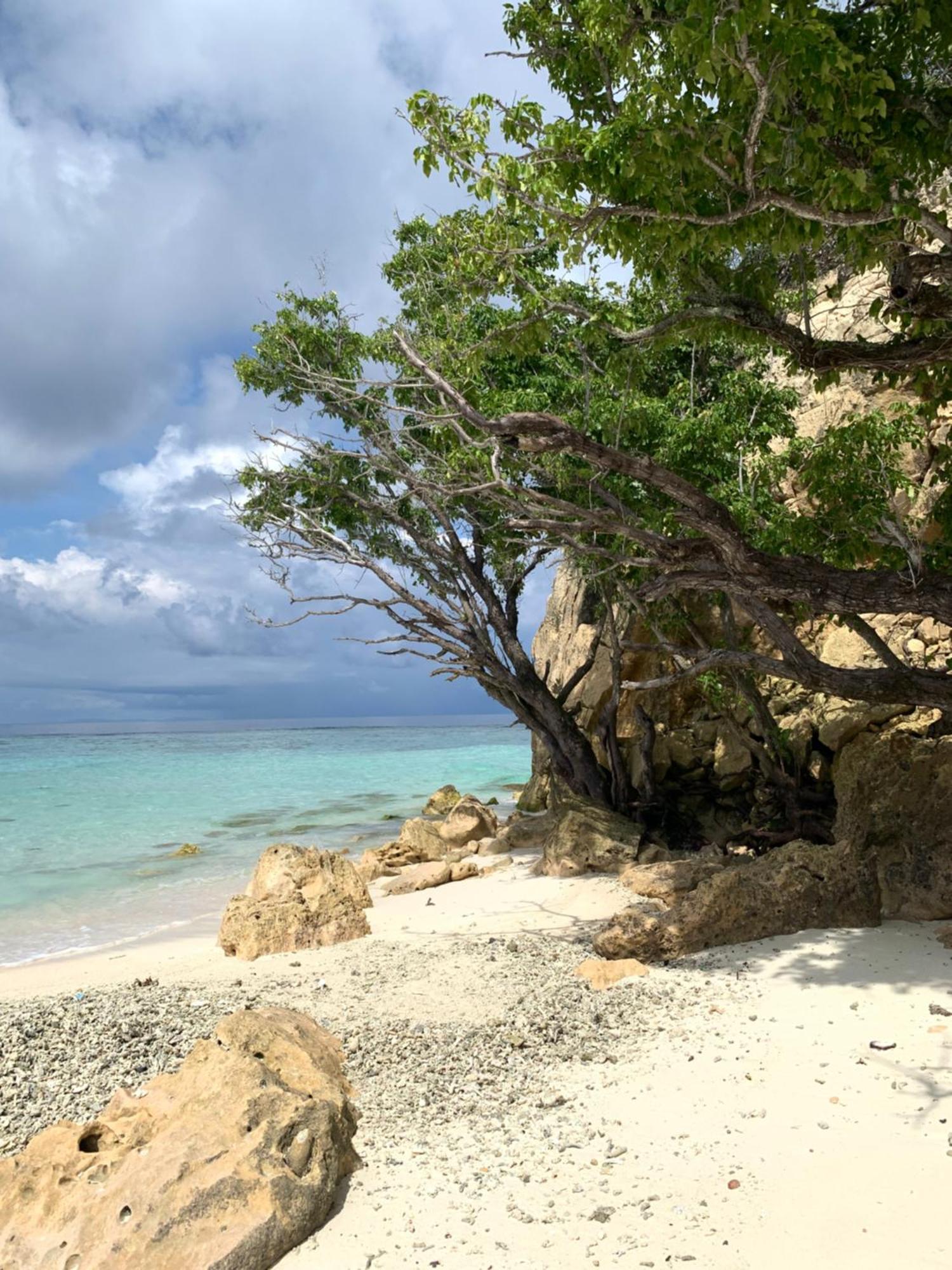 Nyanse Homestay - Raja Ampat Besir Exterior foto